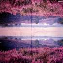 054 Lavender (54) - Atelier
